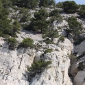 Cassis - Calanques - 058